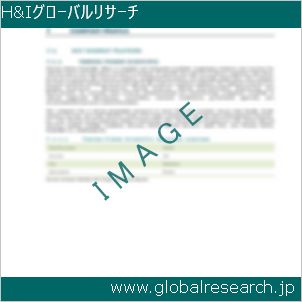 グローバルリサーチ調査レポートのイメージ